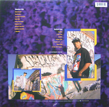 Load image into Gallery viewer, HI-C : Skanless (LP, Album)