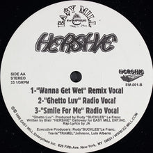 Load image into Gallery viewer, Hershie : Wanna Get Wet (12")