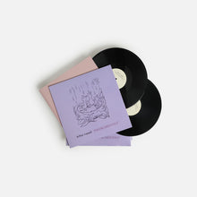 Load image into Gallery viewer, Arthur Russell : Instrumentals (2xLP, Comp, RE, RM)