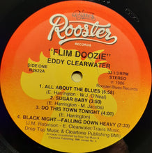 Load image into Gallery viewer, Eddy Clearwater : Flim Doozie (LP, Album)