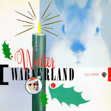 Load image into Gallery viewer, Various : Winter Warnerland (2xLP, Comp, Promo, Red)
