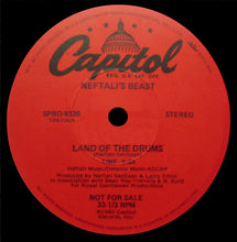 Load image into Gallery viewer, Mystic Merlin / Neftali's Beast : Burned To Learn / Land Of The Drums (12", Promo)
