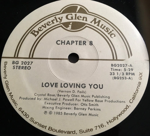 Chapter 8 : Love Loving You (12