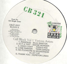 Load image into Gallery viewer, Various : Cell Block Vol 1 (LP, Comp)
