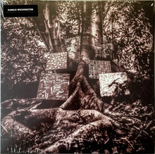 Load image into Gallery viewer, Kamasi Washington : Harmony Of Difference (12", EP)
