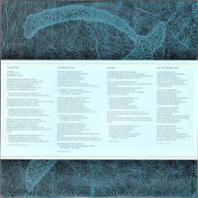 Load image into Gallery viewer, Pink Floyd : A Momentary Lapse Of Reason (LP, Album, Car)
