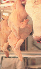 Load image into Gallery viewer, Faith No More : Angel Dust (Cass, Album, SR,)
