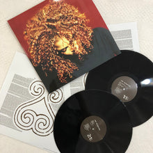 Load image into Gallery viewer, Janet Jackson : The Velvet Rope (2xLP, Album, RE, 180)
