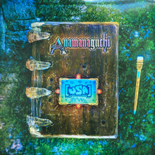 Load image into Gallery viewer, Anamanaguchi : [USA] (2xLP, Album, Dlx, Gre)
