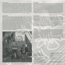 Load image into Gallery viewer, Apollo Brown &amp; Skyzoo : The Easy Truth (LP, Album, Ltd, RP, Cle)

