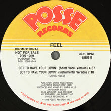 Load image into Gallery viewer, Feel (3) : Got To Have Your Lovin' (12", Promo)
