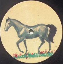 Load image into Gallery viewer, Sebadoh : Beauty Of The Ride (10")
