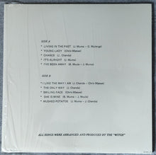 Load image into Gallery viewer, The Witch* : In The Past (LP, Album, RE, Mal)
