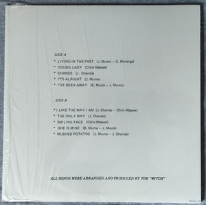 The Witch* : In The Past (LP, Album, RE, Mal)