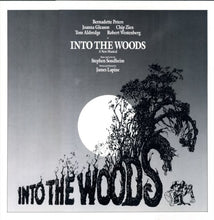 Load image into Gallery viewer, Stephen Sondheim : Into The Woods—Original Cast Recording (LP, Album)
