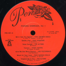 Load image into Gallery viewer, Various : Penrose Showcase Vol. 1 (LP, Comp, RP)
