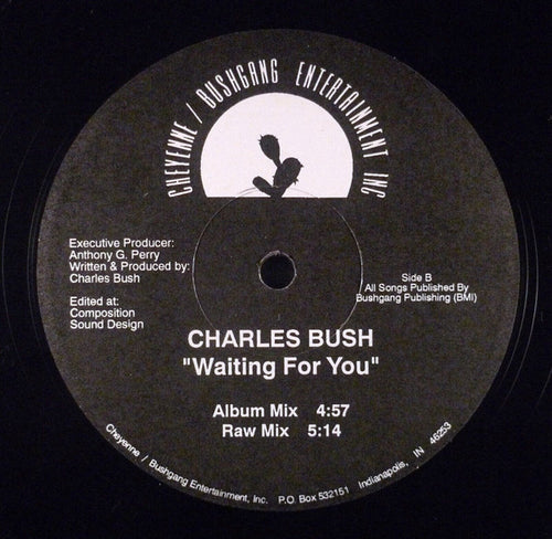 Charles Bush (3) : Waiting For You (12