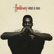 Load image into Gallery viewer, Haddaway : What Is Love (12&quot;)
