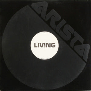 Ace Of Base : Living In Danger (12", TP)