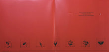 Load image into Gallery viewer, Raye (3) : This Music May Contain Hope. (2xLP, Album, Yel)
