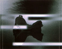 Load image into Gallery viewer, Dokken : Shadowlife (CD, Album)
