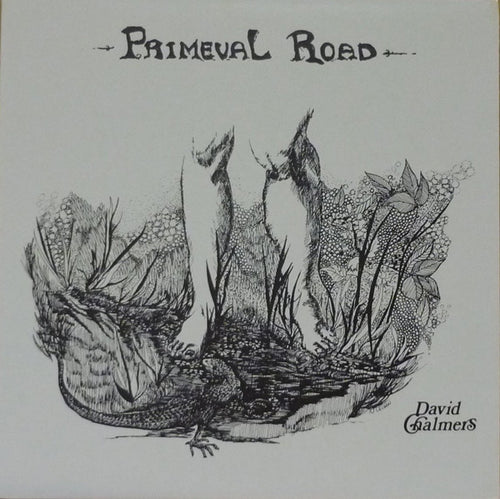 David Chalmers : Primeval Road (LP, Album, Gat)