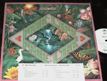Load image into Gallery viewer, Free Life : Free Life (LP, Album, Promo)
