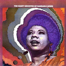 Load image into Gallery viewer, Barbara Lewis : The Many Grooves Of Barbara Lewis (LP, Album)
