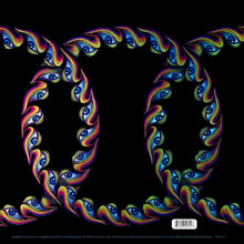 Load image into Gallery viewer, Tool (2) : Lateralus (2xLP, Album, Ltd, Pic, RE, 180)
