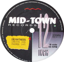 Load image into Gallery viewer, Dyewitness : Observing The Earth (12")
