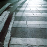 Load image into Gallery viewer, Dante &amp; Dhula : Gallery 002 (12")

