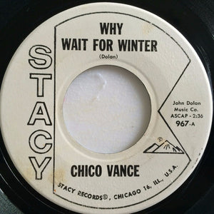 Chico Vance : Why Wait For Winter / Ghost Of Your Love (7", Promo)