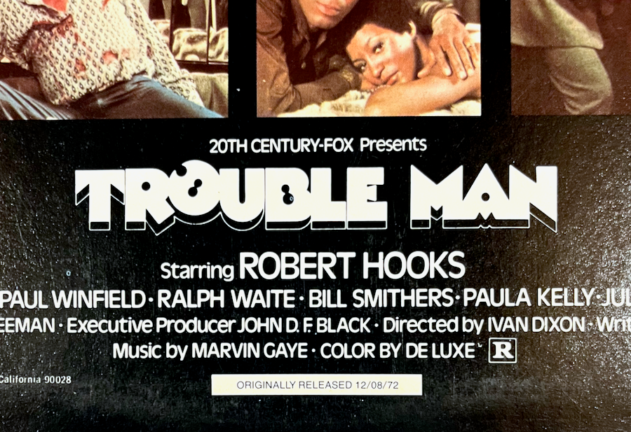 GAYE,MARVIN - Trouble Man (Vinyl LP)