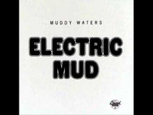 Load and play video in Gallery viewer, Muddy Waters - Electric Mud
