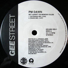 Load image into Gallery viewer, P.M. Dawn ‎– Set Adrift On Memory Bliss
